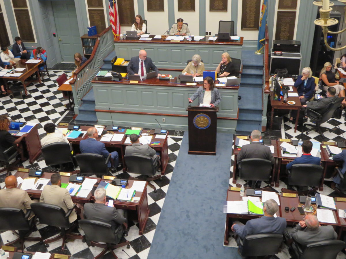 Legislative attorney provides testimony on Delaware House floor